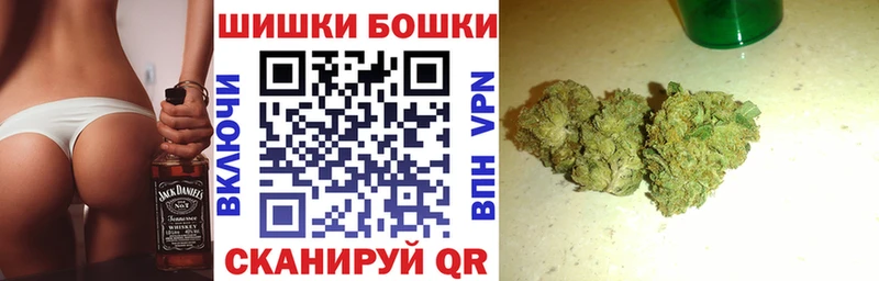 Каннабис сатива Кашира